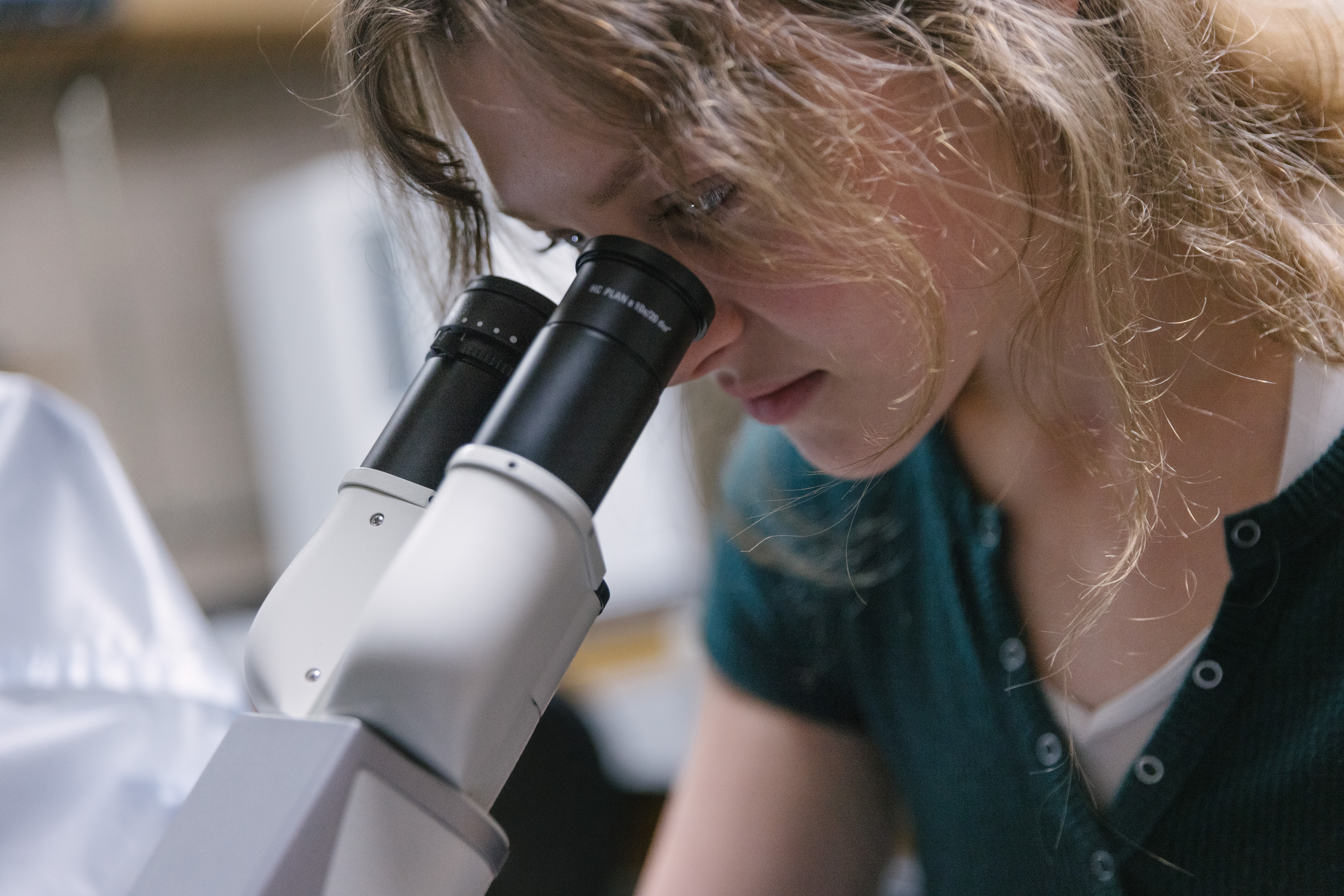 Science Bioilogy Department of Biological Sciences | Bethel University